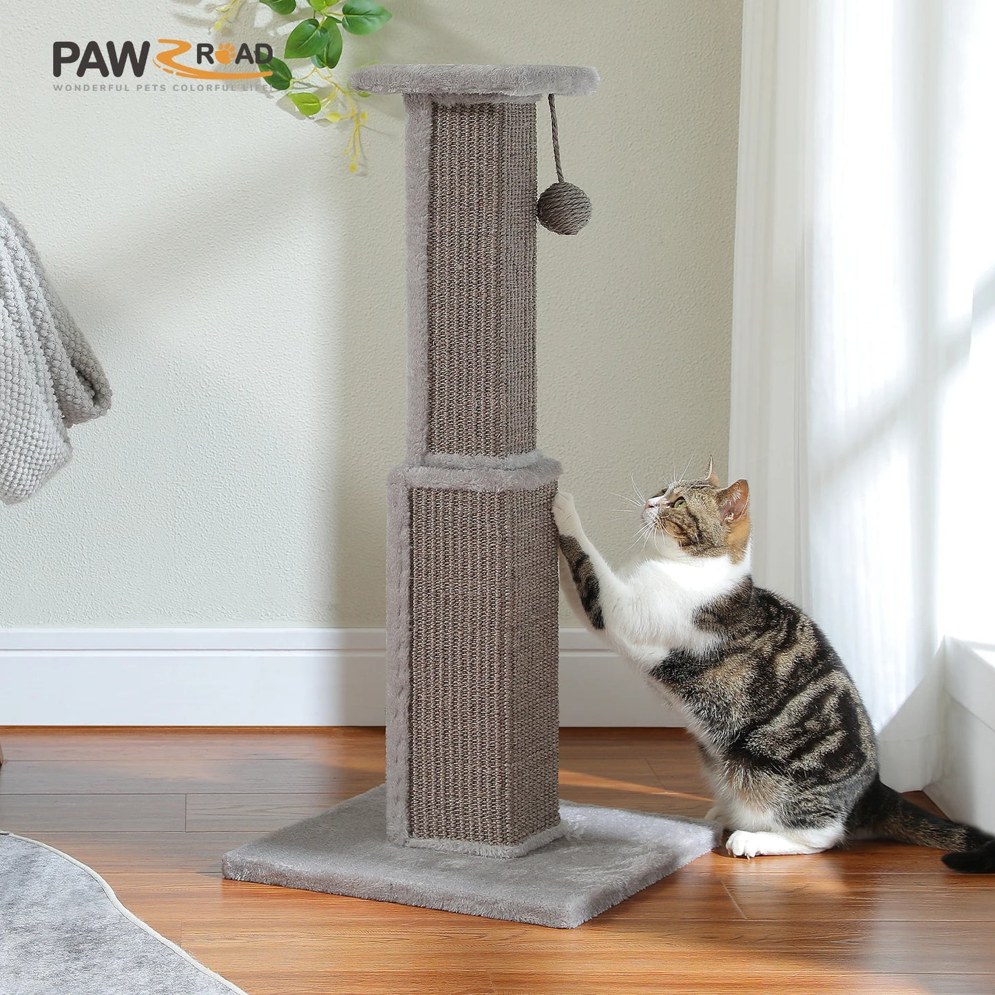 80CM Cat Scratching Post for Indoor Cat Scratcher with Nature Sisal Ball Tall Scratching Post for Large Cats Kitten Pet Toys