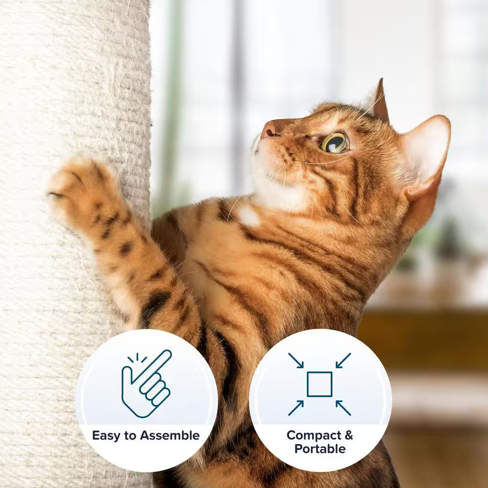 Cat Hammock and Scratching Post