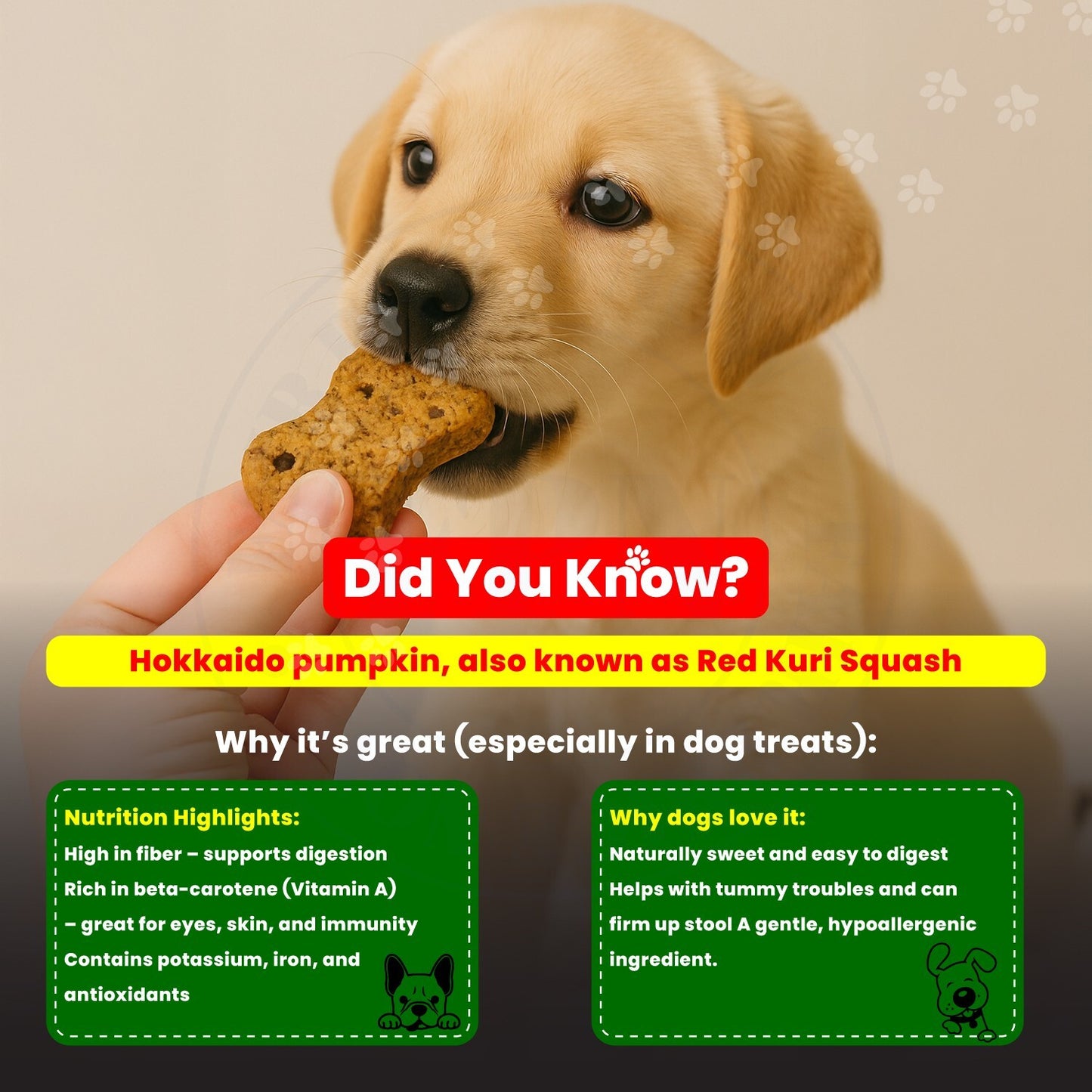 Dog Treats –Immunity, Skin, Dental, Gut Support, Vegan Dog Biscuits 7Oz by FPN