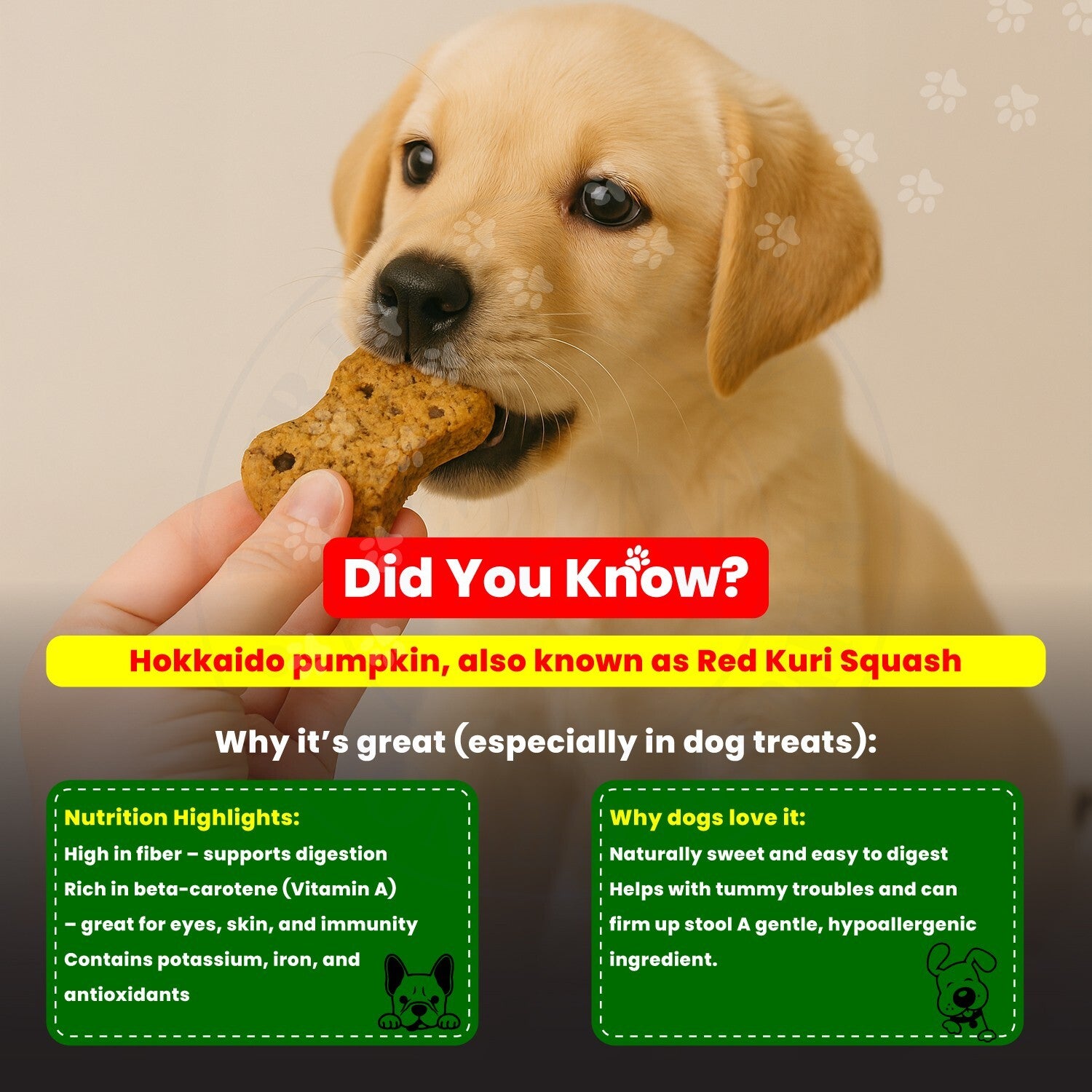 Dog Treats –Immunity, Skin, Dental, Gut Support, Vegan Dog Biscuits 7Oz by FPN