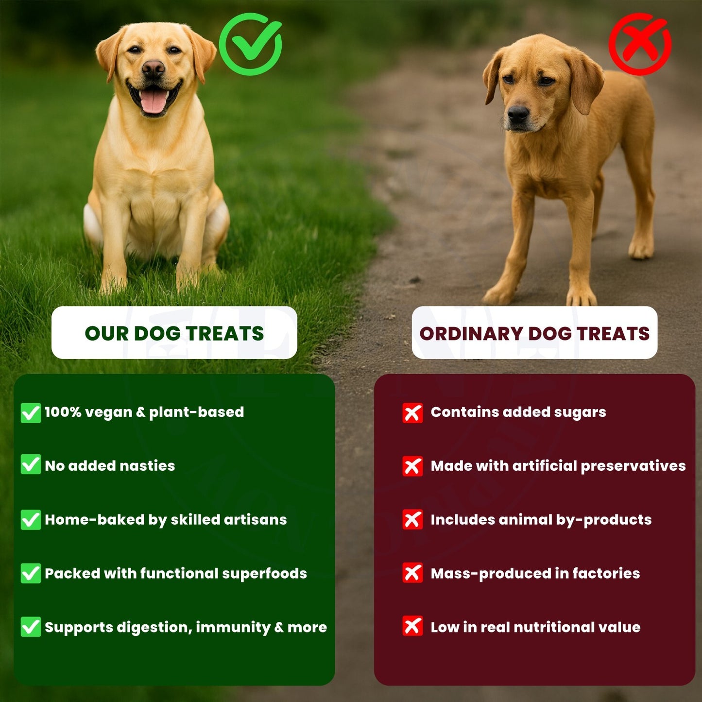 Dog Treats –Skin&Coat Treats Grain-Free Natural Human-Grade Dog Biscuits 7Oz-Fpn