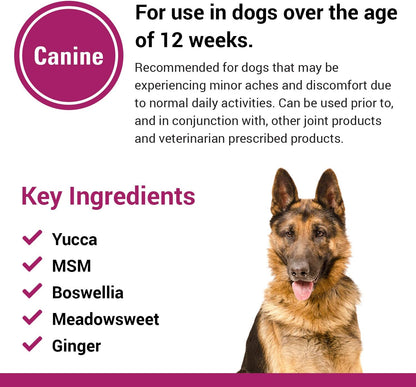 Pain plus Extra Strength Health Supplement for Dogs - 120 Chewable Tablets