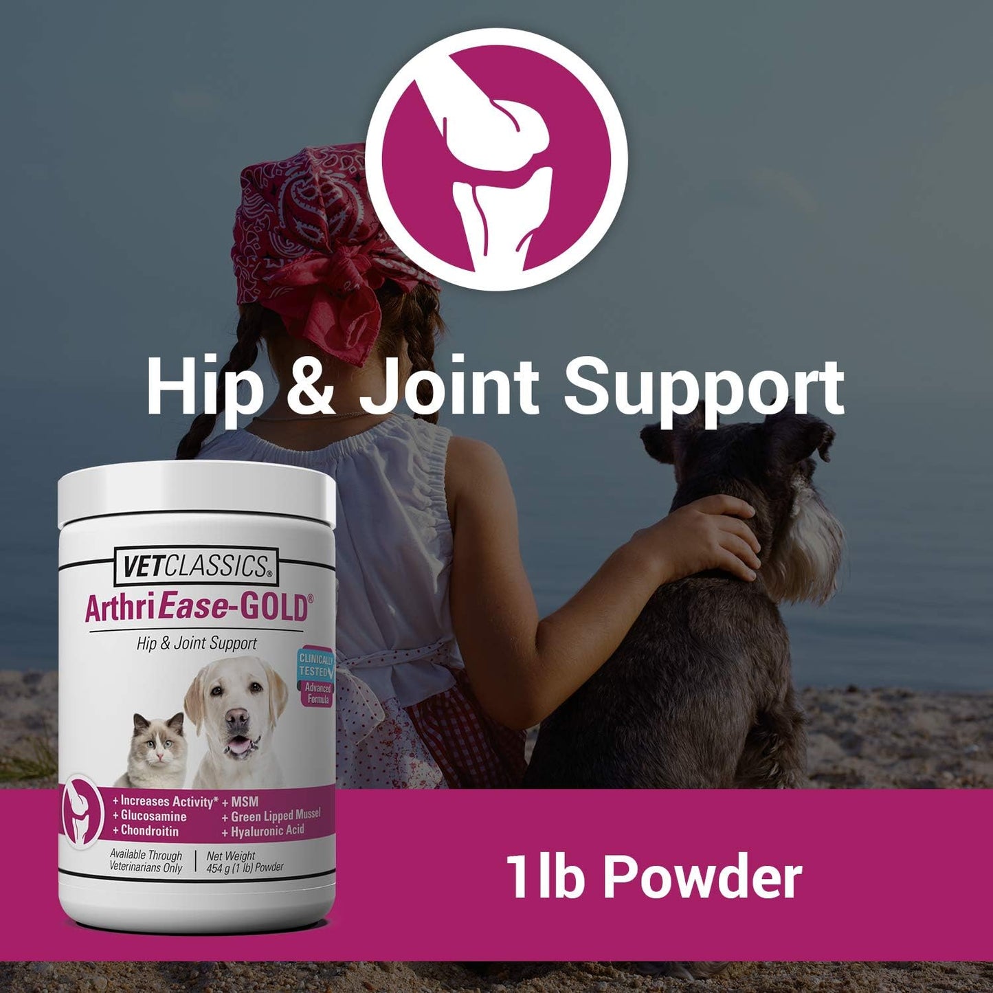Arthriease-Gold Hip & Joint Support for Dogs, Cats– Pet Health Supplement Powder – Alleviates Aches, Discomfort – for Flexibility, Healthy Joint Function – Antioxidants – 1 Lb.