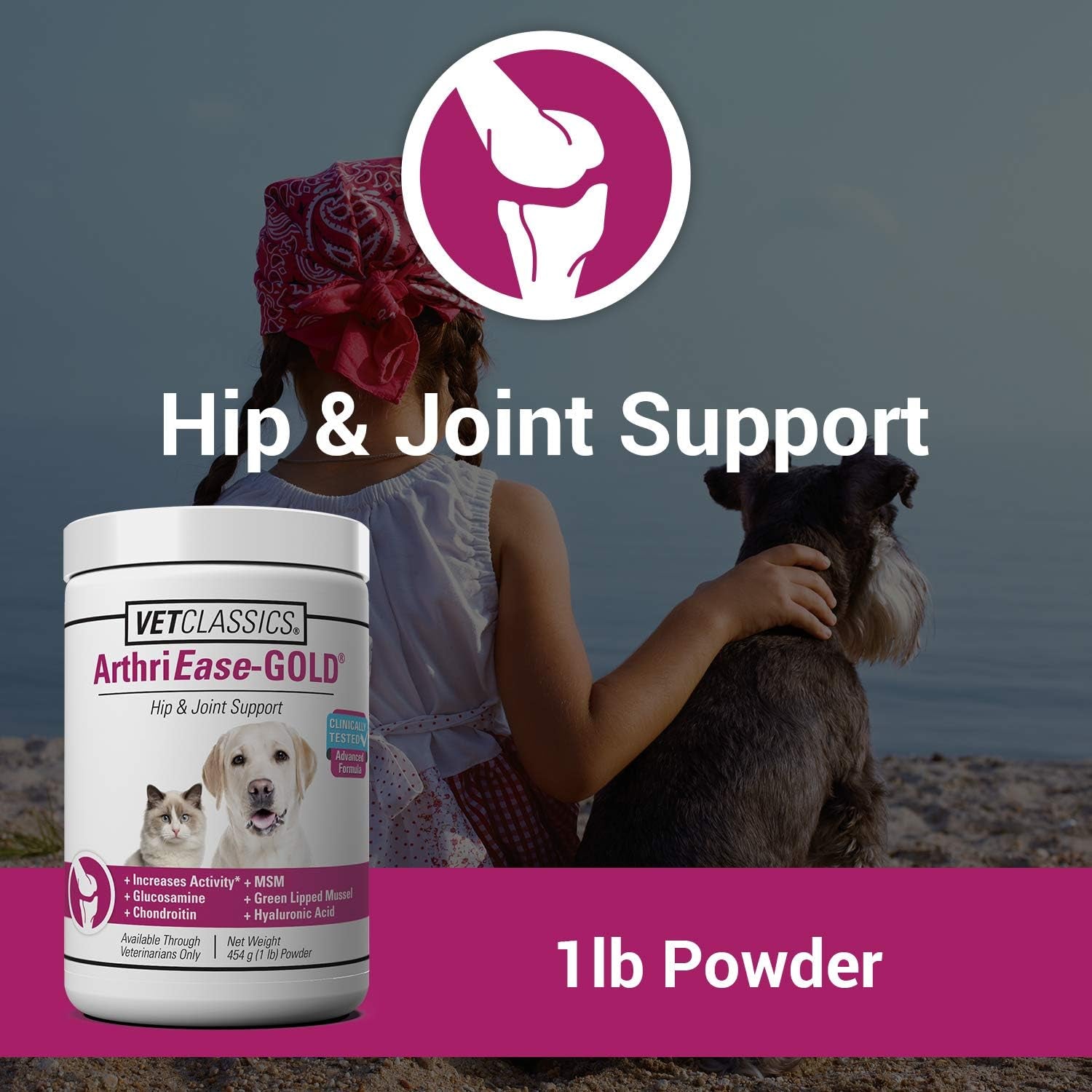 Arthriease-Gold Hip & Joint Support for Dogs, Cats– Pet Health Supplement Powder – Alleviates Aches, Discomfort – for Flexibility, Healthy Joint Function – Antioxidants – 1 Lb.