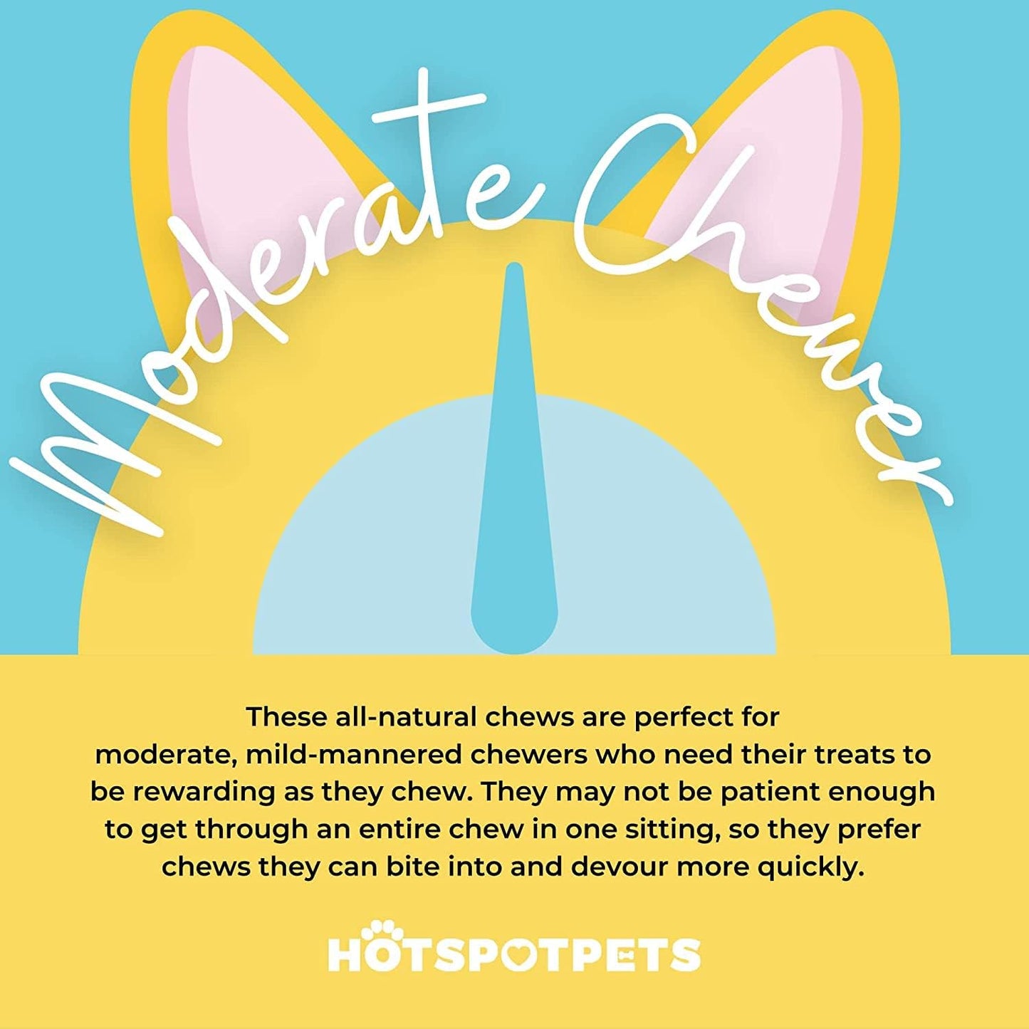 Beef Tendon Chews for Dogs -(10 Pack) 6 Inch All Natural, Free-Range, Grass-Fed Premium Backstrap Tendon Dog Chews Treats