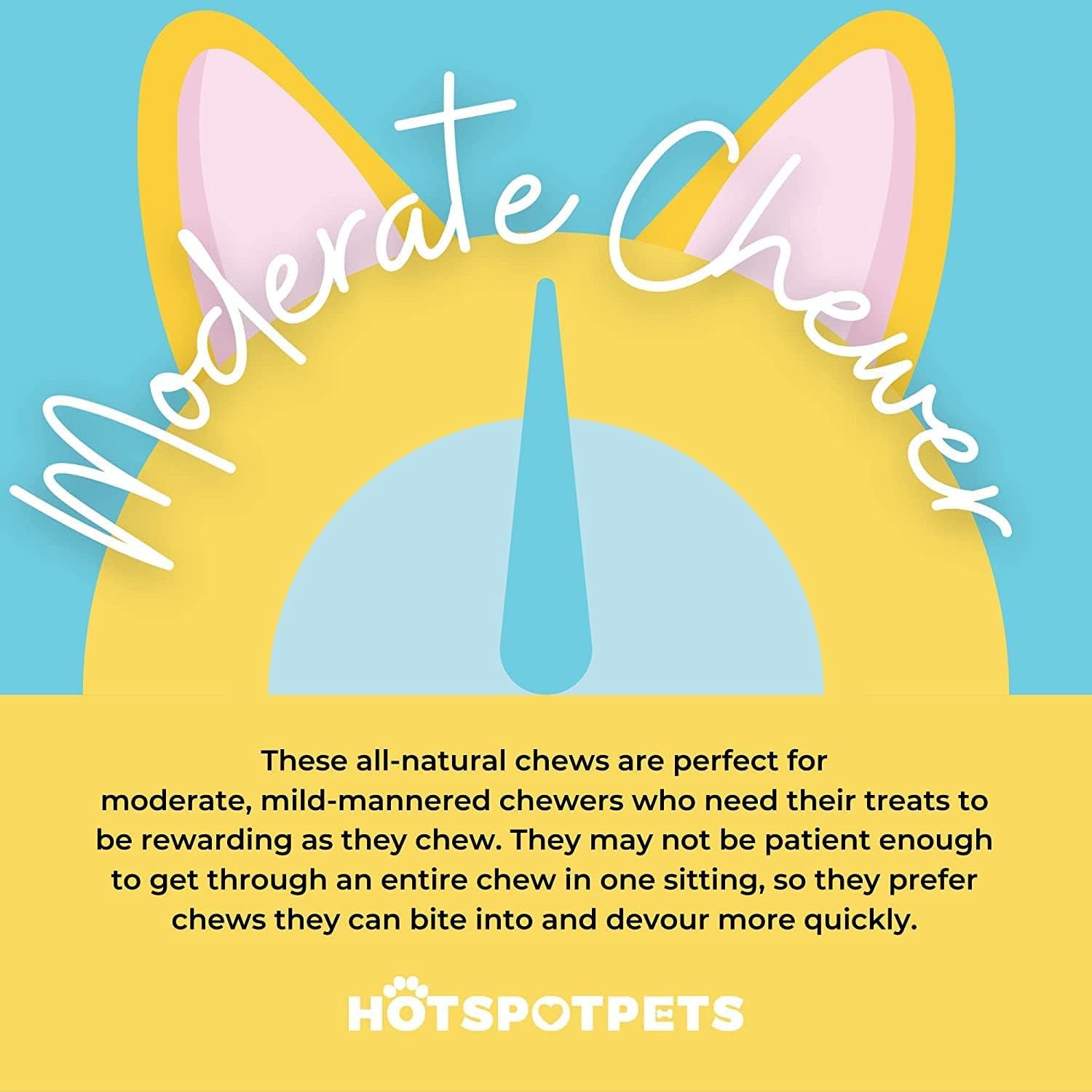 Beef Tendon Chews for Dogs -(10 Pack) 6 Inch All Natural, Free-Range, Grass-Fed Premium Backstrap Tendon Dog Chews Treats