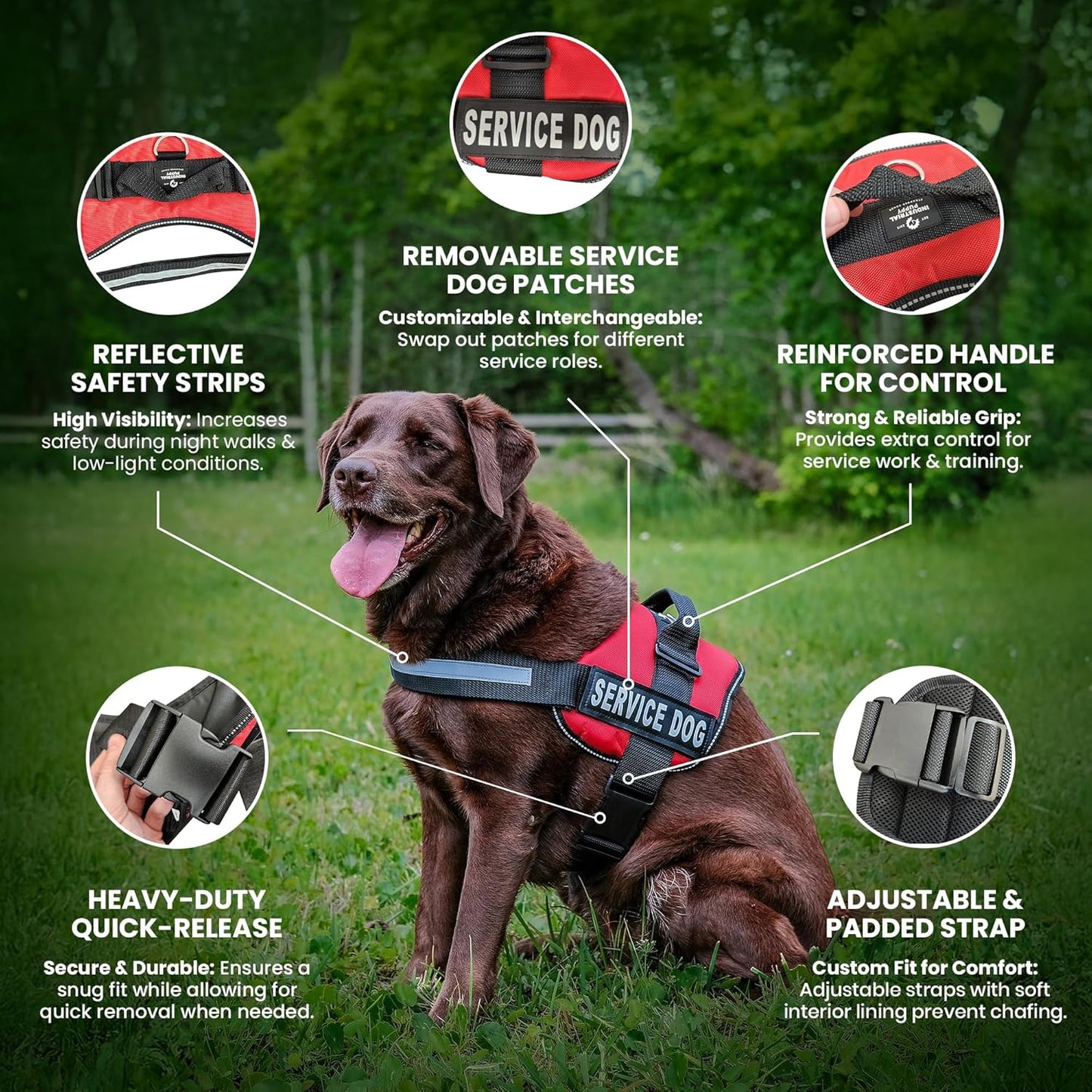 Service Dog Vest with Hook and Loop Straps & Matching Service Dog Leash Set - Harnesses from XXS to XXL - Service Dog Harness Features Reflective Patch and Comfortable Mesh Design