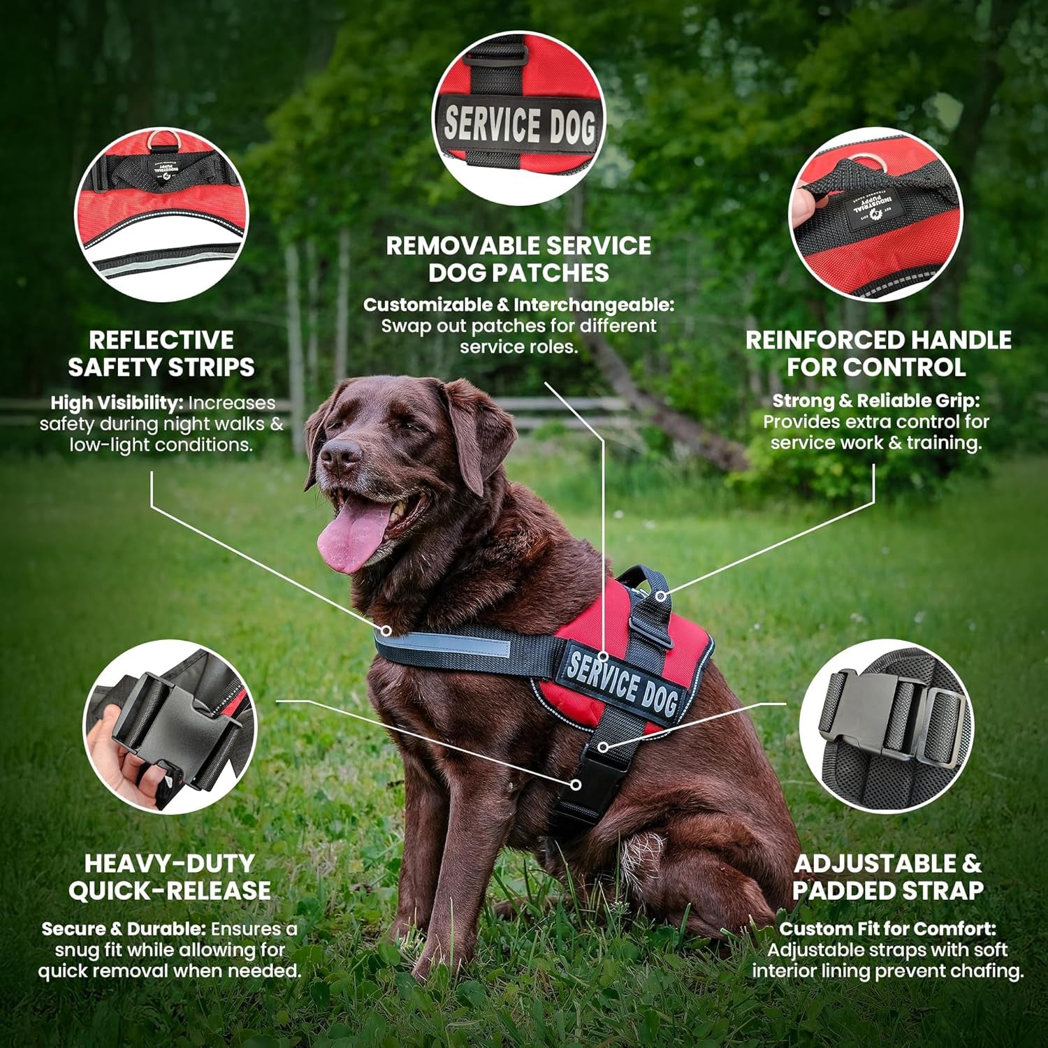 Service Dog Vest with Hook and Loop Straps & Matching Service Dog Leash Set - Harnesses from XXS to XXL - Service Dog Harness Features Reflective Patch and Comfortable Mesh Design