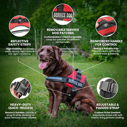 Service Dog Vest with Hook and Loop Straps & Matching Service Dog Leash Set - Harnesses from XXS to XXL - Service Dog Harness Features Reflective Patch and Comfortable Mesh Design