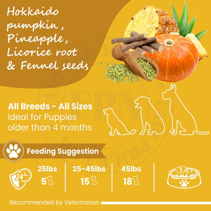 Dog Treats –Immunity, Skin, Dental, Gut Support, Vegan Dog Biscuits 7Oz by FPN