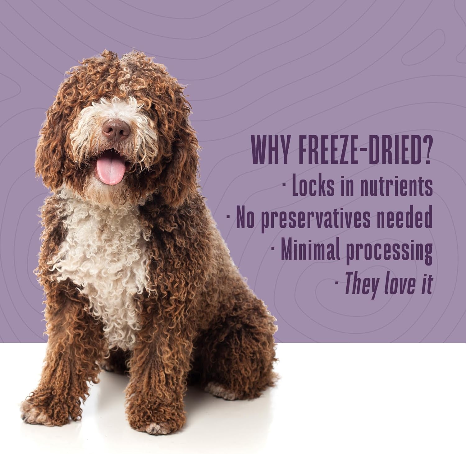 Whole Life Dog Just One Chicken Freeze Dried Dog Treats - Human Grade High Protein Food, Healthy Training Snacks, Freeze Dried Food Toppers, USA Made Natural Treats - 10 Oz (Value Pack of 1)