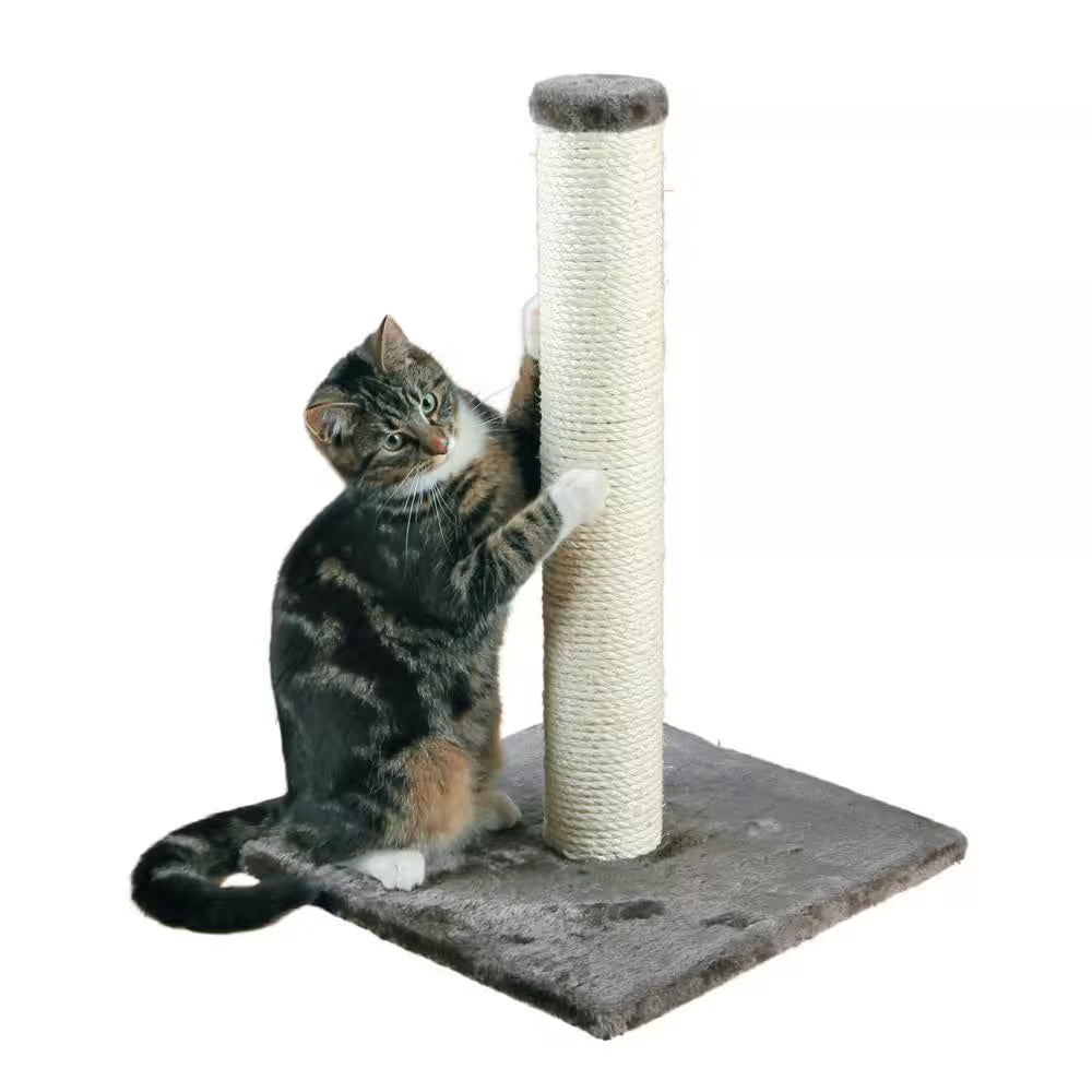 Parla Scratching Post, Dark Gray