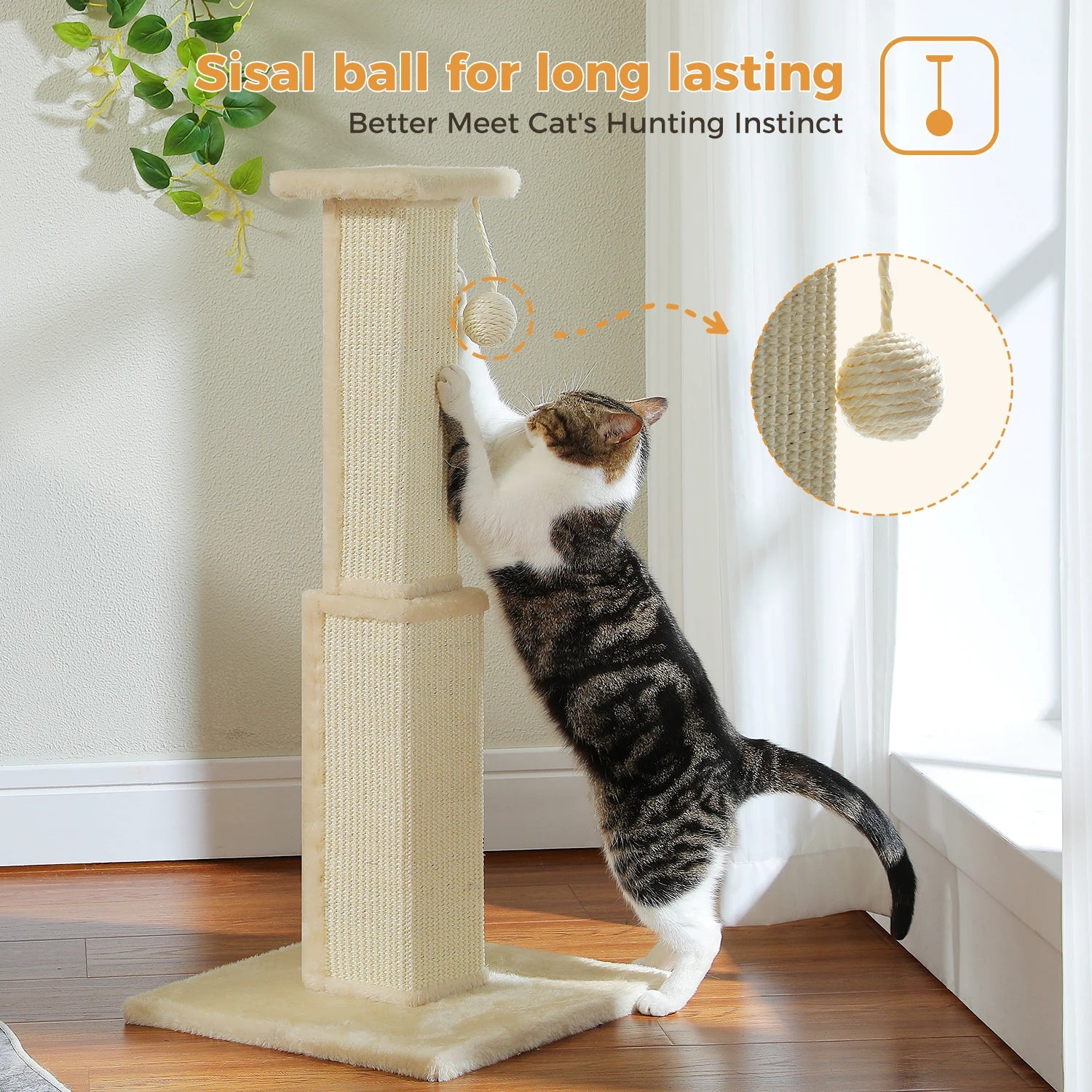 80CM Cat Scratching Post for Indoor Cat Scratcher with Nature Sisal Ball Tall Scratching Post for Large Cats Kitten Pet Toys