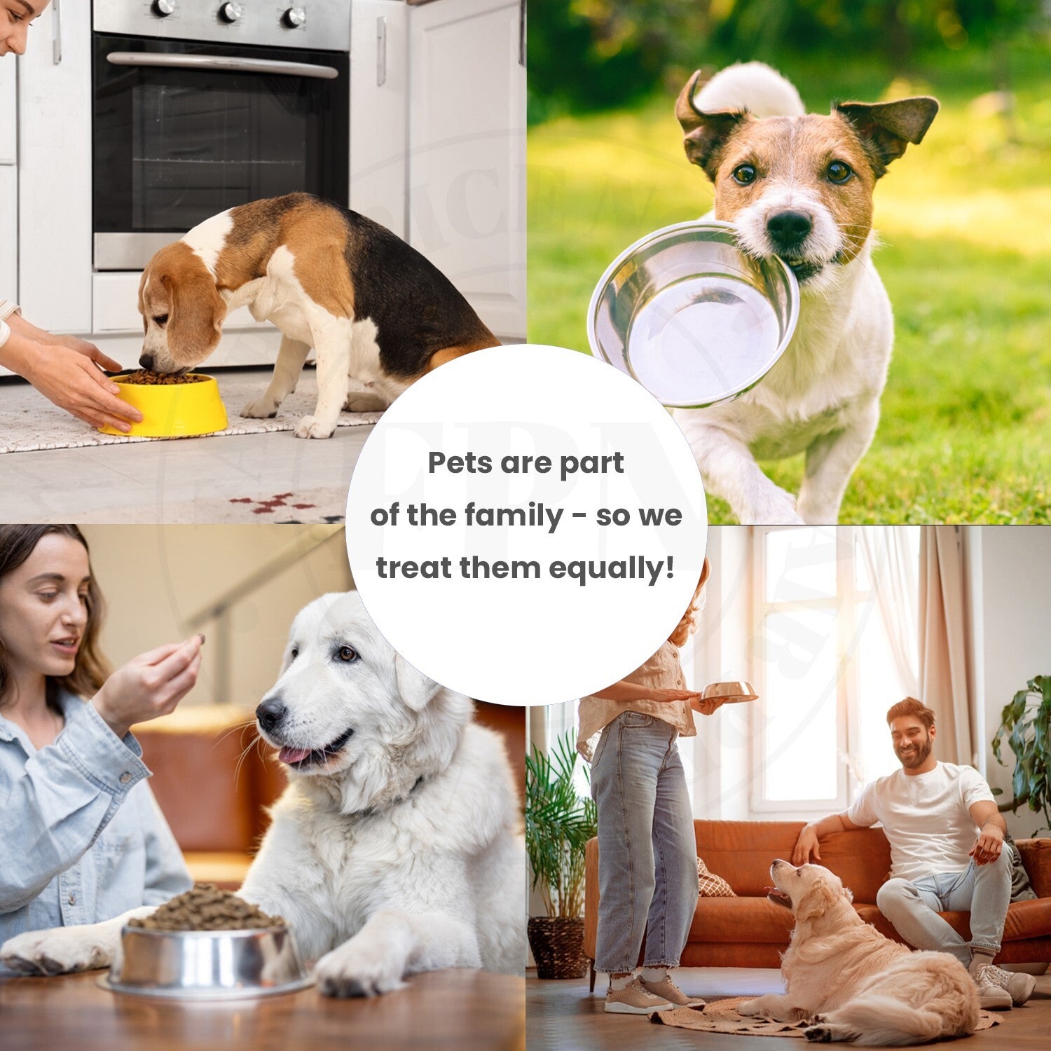 Dog Treats –Dental Treats Grain-Free Natural Human-Grade Dog Biscuits 7Oz - FPN