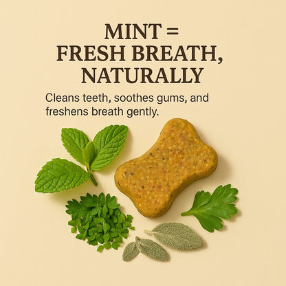 Dog Treats –Dental Treats Grain-Free Natural Human-Grade Dog Biscuits 7Oz - FPN