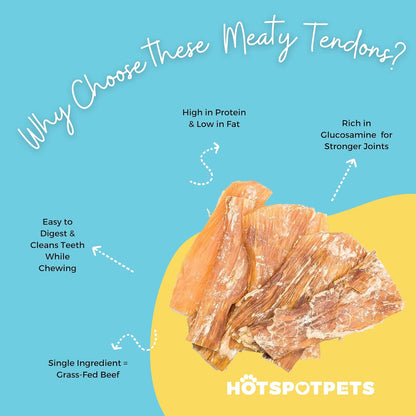 Beef Tendon Chews for Dogs -(10 Pack) 6 Inch All Natural, Free-Range, Grass-Fed Premium Backstrap Tendon Dog Chews Treats