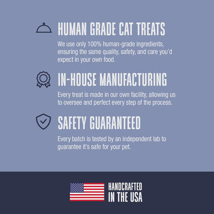 Whole Life Cat Just One Salmon Freeze Dried Cat Treats - Human Grade High Protein Food, Healthy Training Snacks, Freeze Dried Salmon Food Toppers, USA Made Natural Treats - 1 Oz (Pack of 1)