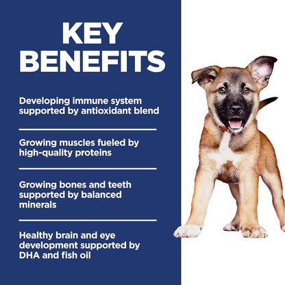 Dry Dog Food, Puppy, Large Breeds