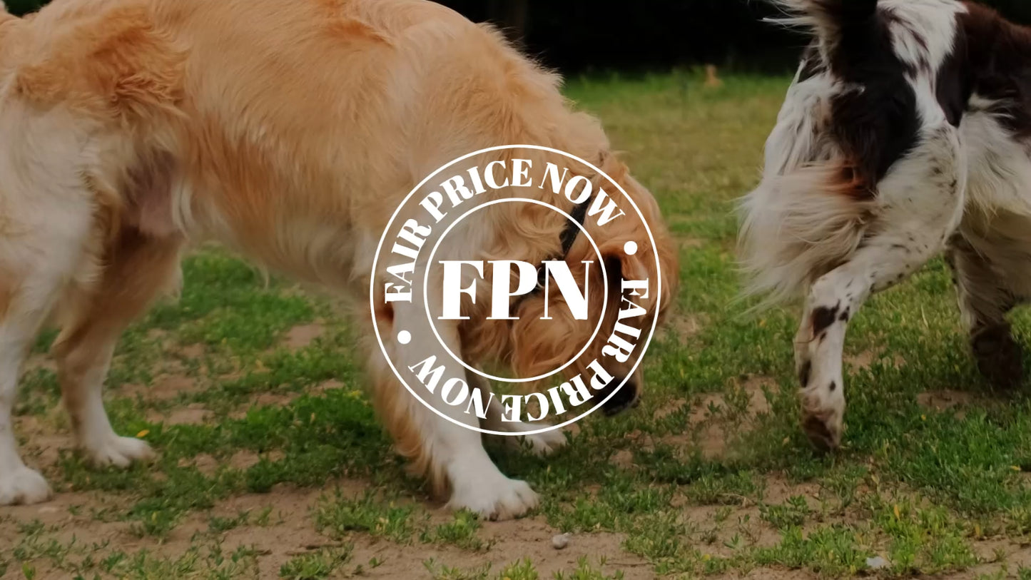 Dog Treats –Skin&Coat Treats Grain-Free Natural Human-Grade Dog Biscuits 7Oz-Fpn