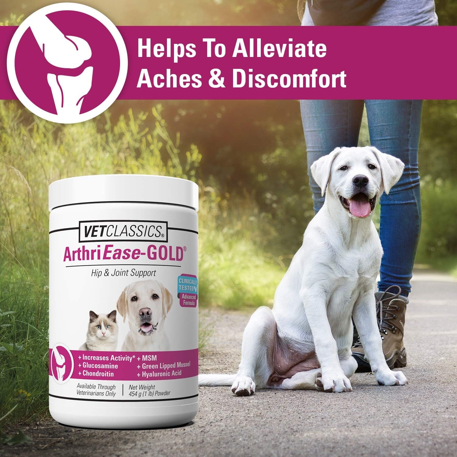 Arthriease-Gold Hip & Joint Support for Dogs, Cats– Pet Health Supplement Powder – Alleviates Aches, Discomfort – for Flexibility, Healthy Joint Function – Antioxidants – 1 Lb.