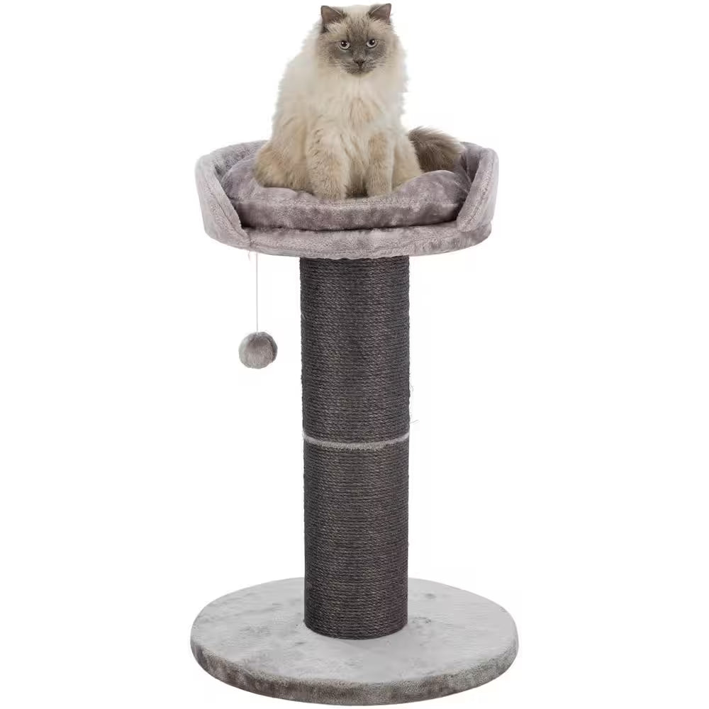 Pepino Scratching Post