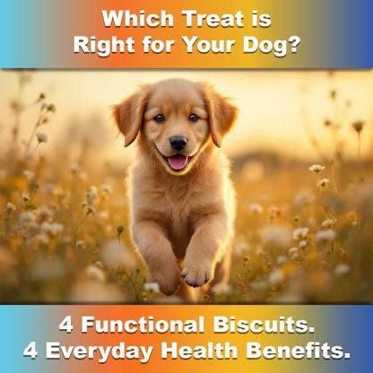 Dog Treats –Skin&Coat Treats Grain-Free Natural Human-Grade Dog Biscuits 7Oz-Fpn