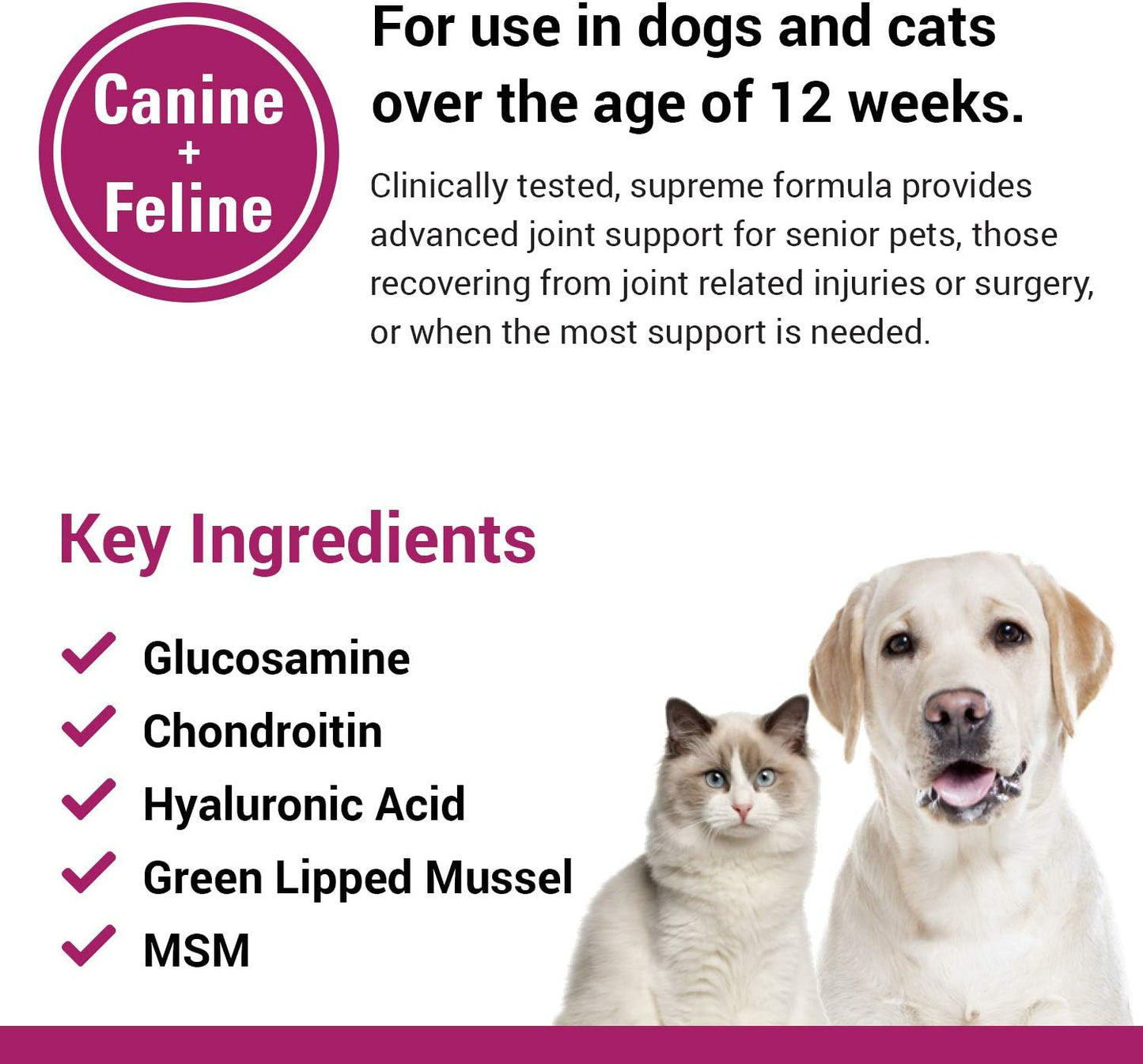 Arthriease-Gold Hip & Joint Support for Dogs, Cats– Pet Health Supplement Powder – Alleviates Aches, Discomfort – for Flexibility, Healthy Joint Function – Antioxidants – 1 Lb.