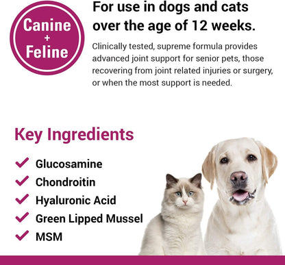 Arthriease-Gold Hip & Joint Support for Dogs, Cats– Pet Health Supplement Powder – Alleviates Aches, Discomfort – for Flexibility, Healthy Joint Function – Antioxidants – 1 Lb.