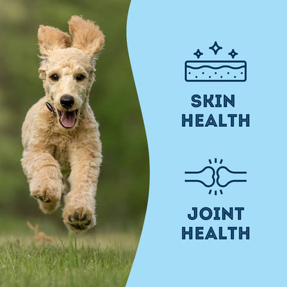 Pure Proteins with Love and Fishes Sardine Treats for Dogs & Cats, 210 Gram