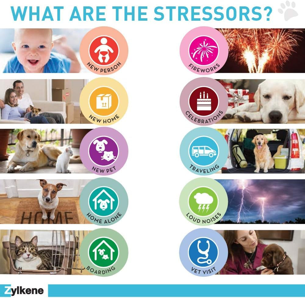 Zylkene Calming Support Supplement for Medium Dogs 33-65Lbs Promotes Relaxation, Reduces Stress, and Supports Occasional Anxiety Relief for Dogs, 225Mg - 14 Capsules