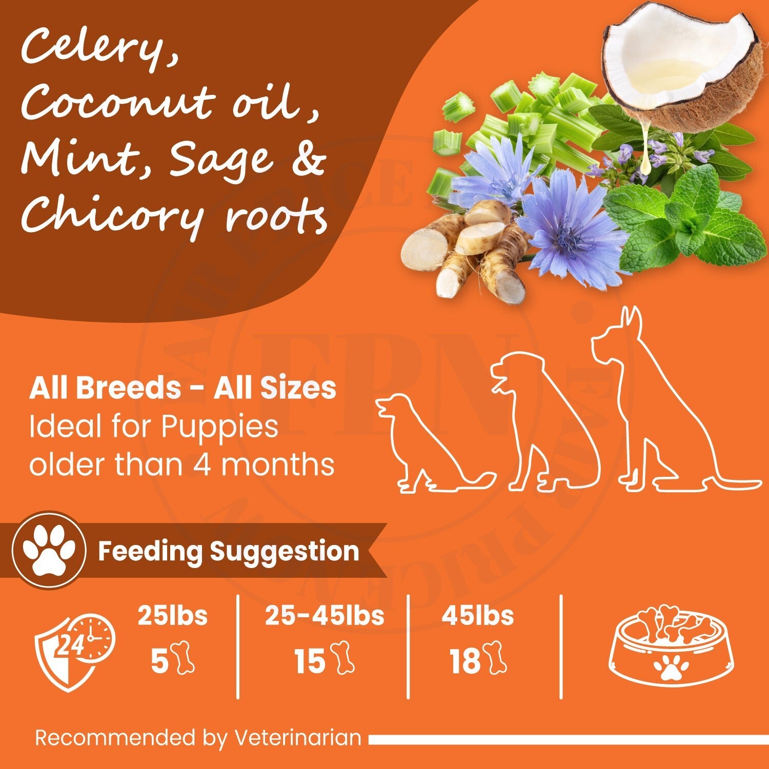 Dog Treats –Immunity, Skin, Dental, Gut Support, Vegan Dog Biscuits 7Oz by FPN