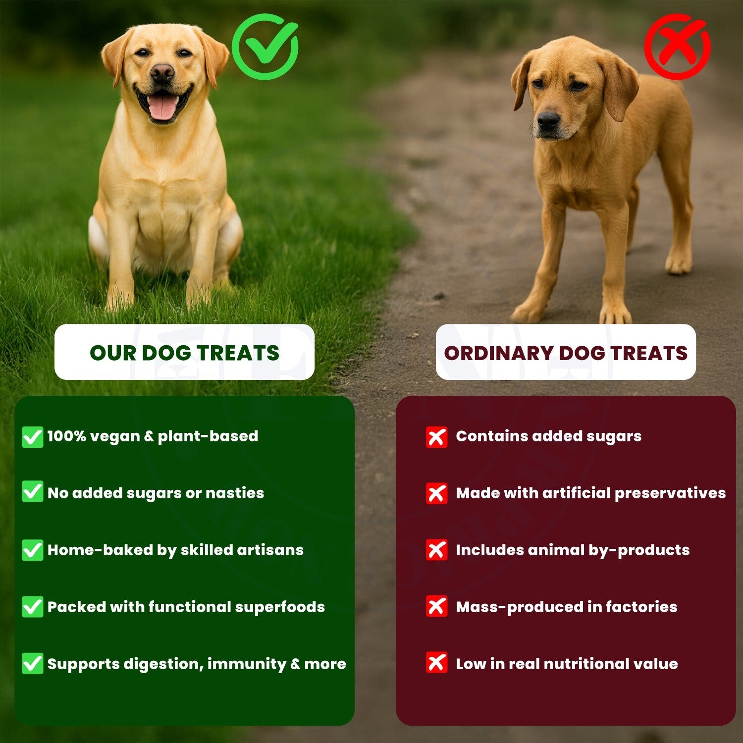 Dog Treats –Immunity, Skin, Dental, Gut Support, Vegan Dog Biscuits 7Oz by FPN