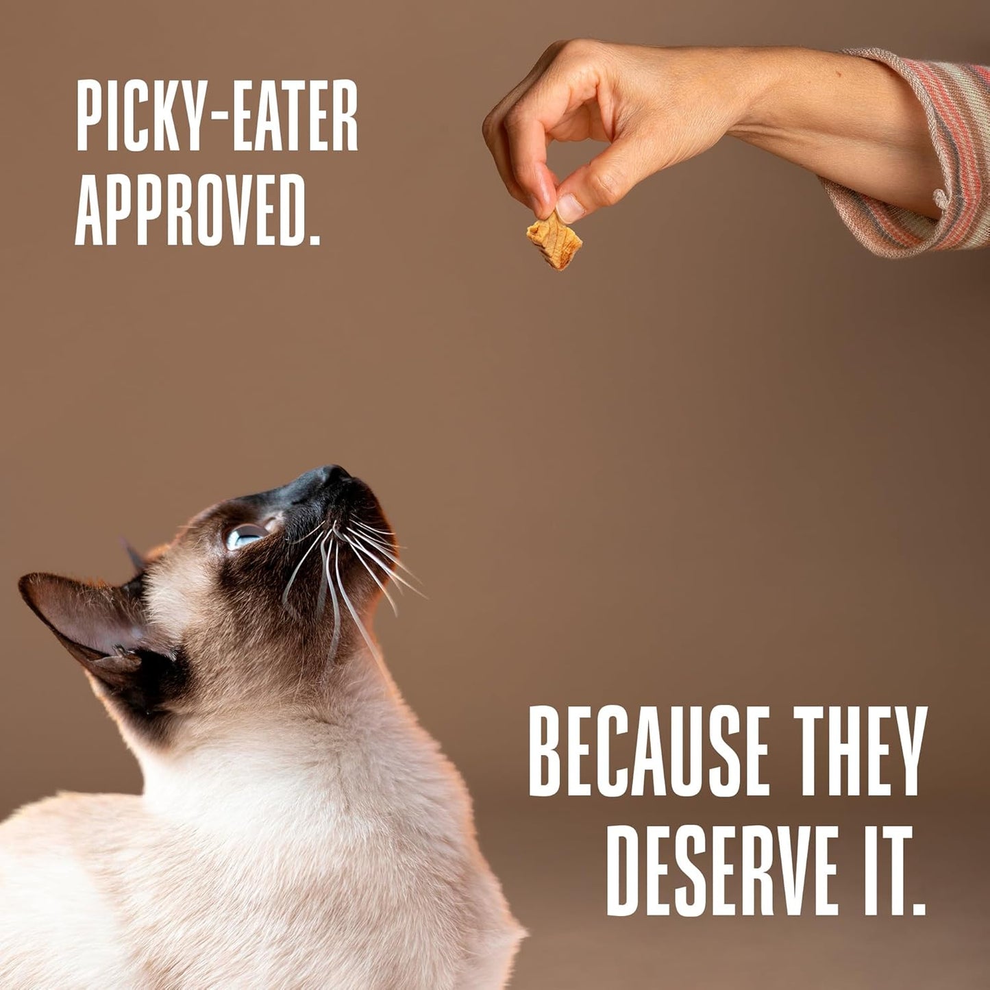 Whole Life Cat Just One Salmon Freeze Dried Cat Treats - Human Grade High Protein Food, Healthy Training Snacks, Freeze Dried Salmon Food Toppers, USA Made Natural Treats - 1 Oz (Pack of 1)