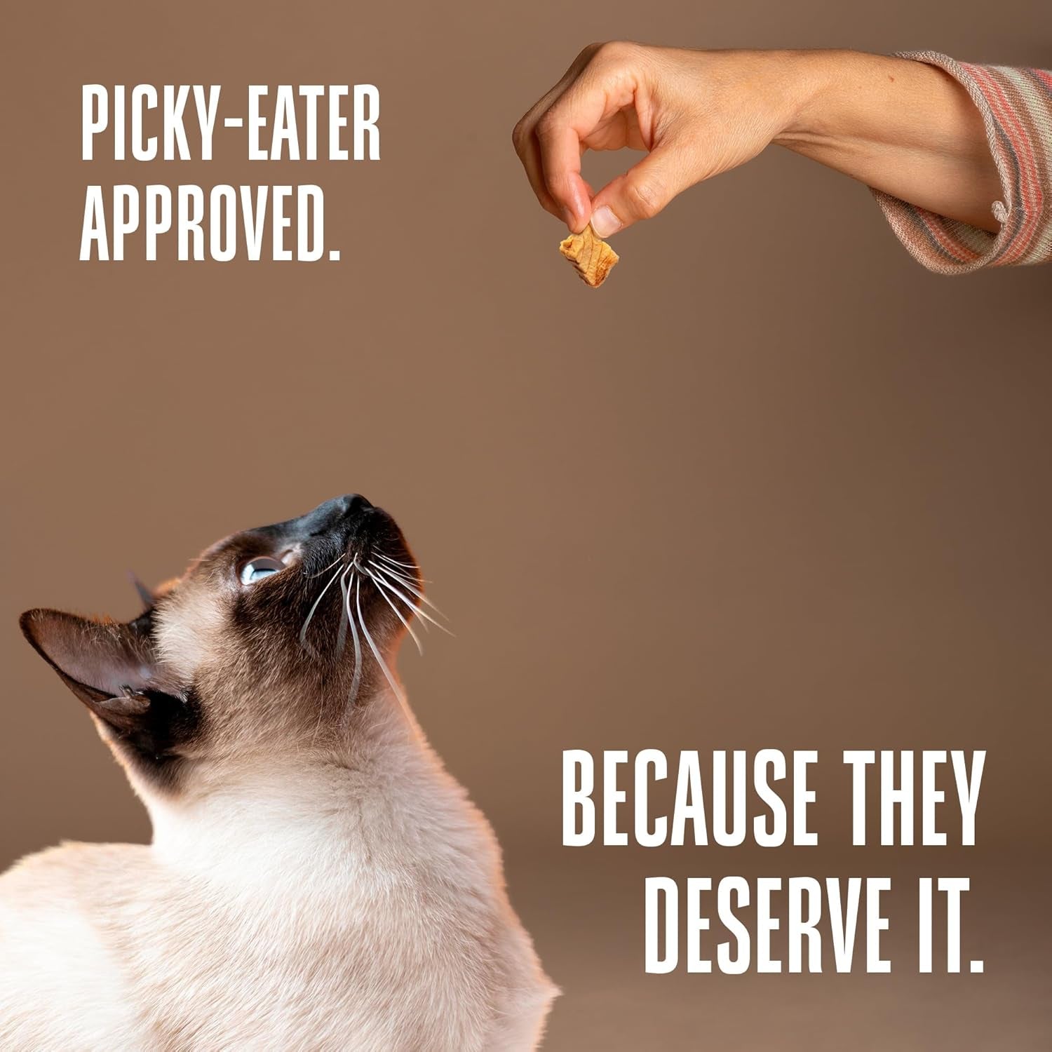 Whole Life Cat Just One Salmon Freeze Dried Cat Treats - Human Grade High Protein Food, Healthy Training Snacks, Freeze Dried Salmon Food Toppers, USA Made Natural Treats - 1 Oz (Pack of 1)