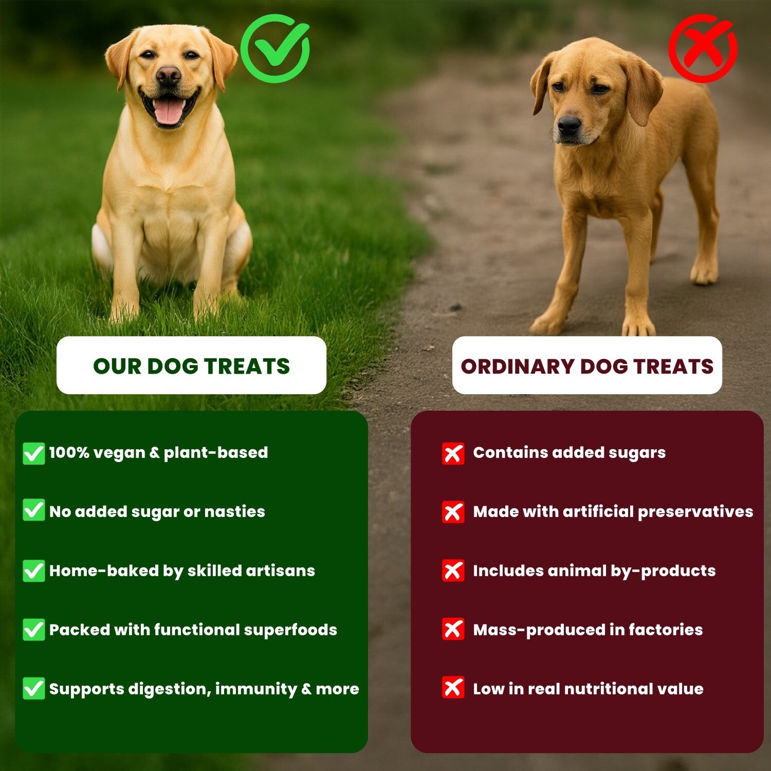 Dog Treats –Dental Treats Grain-Free Natural Human-Grade Dog Biscuits 7Oz - FPN