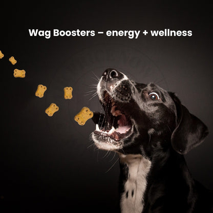 Dog Treats –Immunity, Skin, Dental, Gut Support, Vegan Dog Biscuits 7Oz by FPN