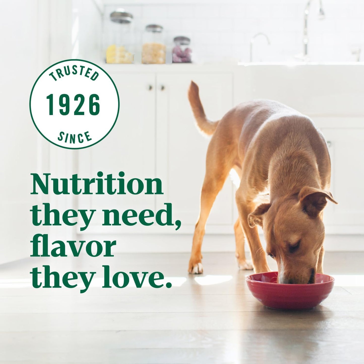 ULTRA Adult High Protein Natural Dry Dog Food with a Trio of Proteins from Chicken, Lamb and Salmon, 30 Lb. Bag