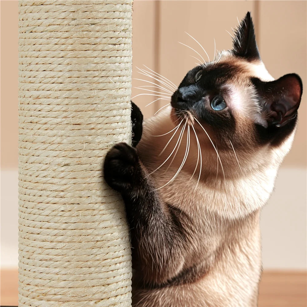 53.9" H Cat Tree with Double Condos, Scratching Posts & Ramp, Dark Gray