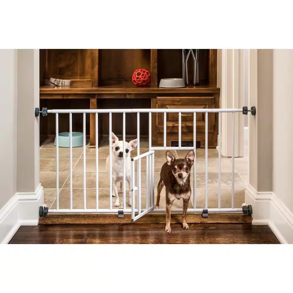 Carlson Mini Pet Gate with Small Pet Door, White