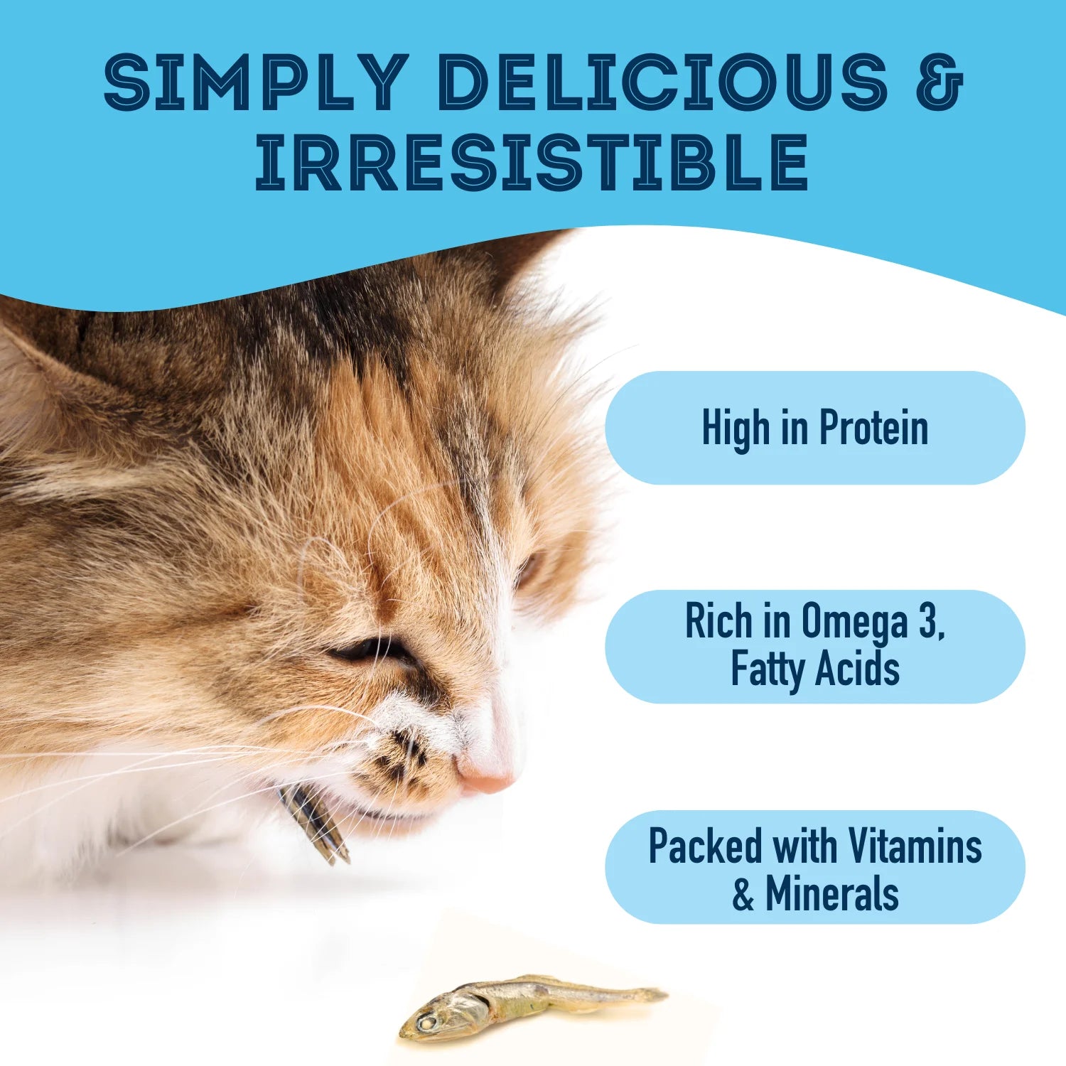 Pure Proteins with Love and Fishes Sardine Treats for Dogs & Cats, 210 Gram