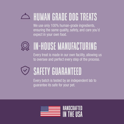 Whole Life Dog Just One Chicken Freeze Dried Dog Treats - Human Grade High Protein Food, Healthy Training Snacks, Freeze Dried Food Toppers, USA Made Natural Treats - 10 Oz (Value Pack of 1)