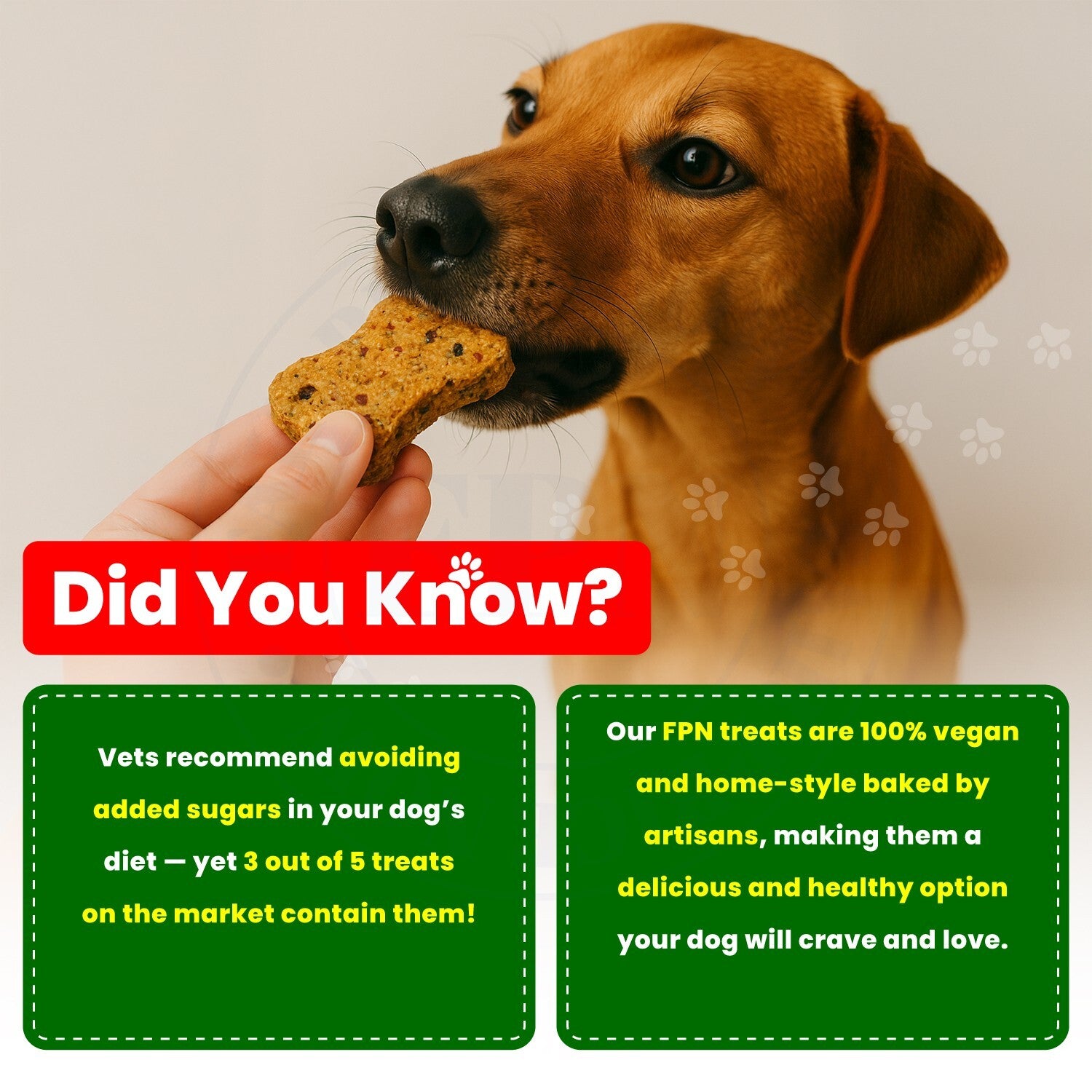 Dog Treats –Immunity, Skin, Dental, Gut Support, Vegan Dog Biscuits 7Oz by FPN