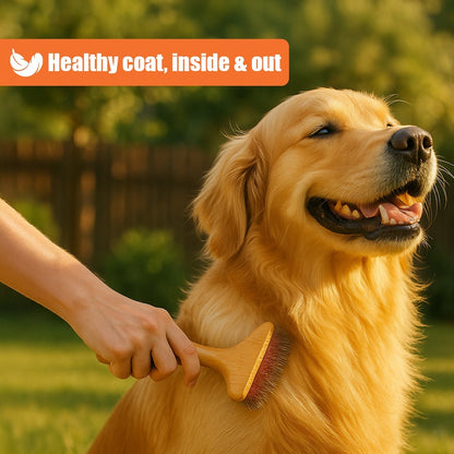 Dog Treats –Skin&Coat Treats Grain-Free Natural Human-Grade Dog Biscuits 7Oz-Fpn