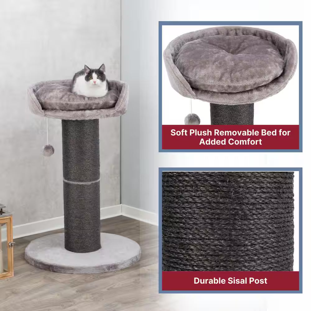 Pepino Scratching Post