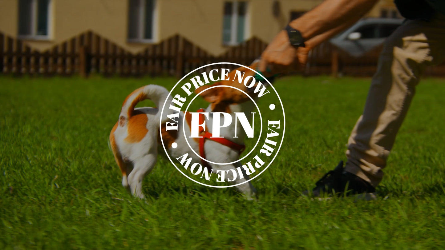 Dog Treats –Dental Treats Grain-Free Natural Human-Grade Dog Biscuits 7Oz - FPN