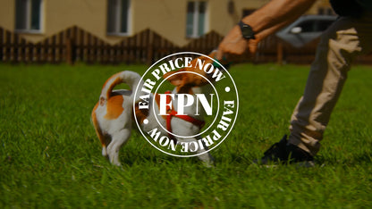 Dog Treats –Dental Treats Grain-Free Natural Human-Grade Dog Biscuits 7Oz - FPN