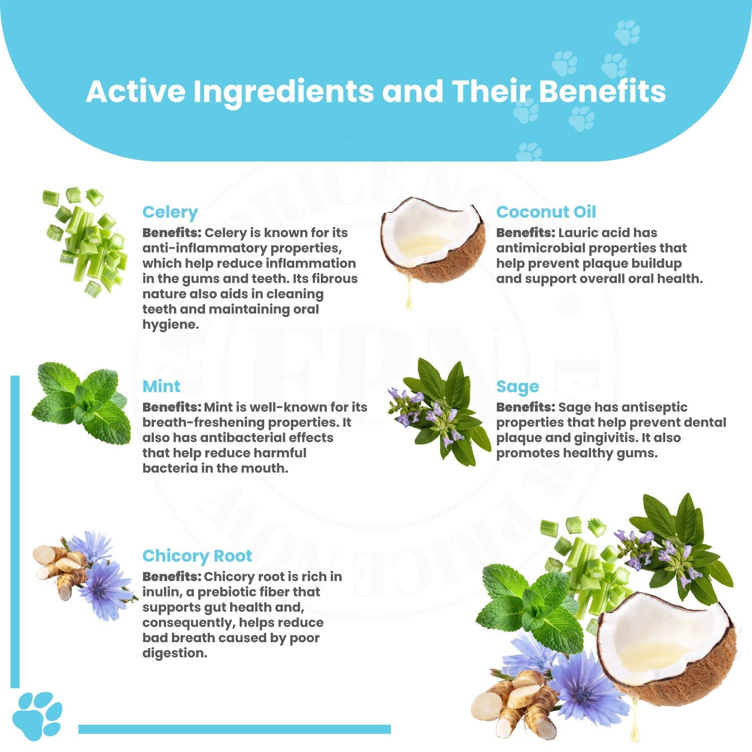 Dog Treats –Immunity, Skin, Dental, Gut Support, Vegan Dog Biscuits 7Oz by FPN